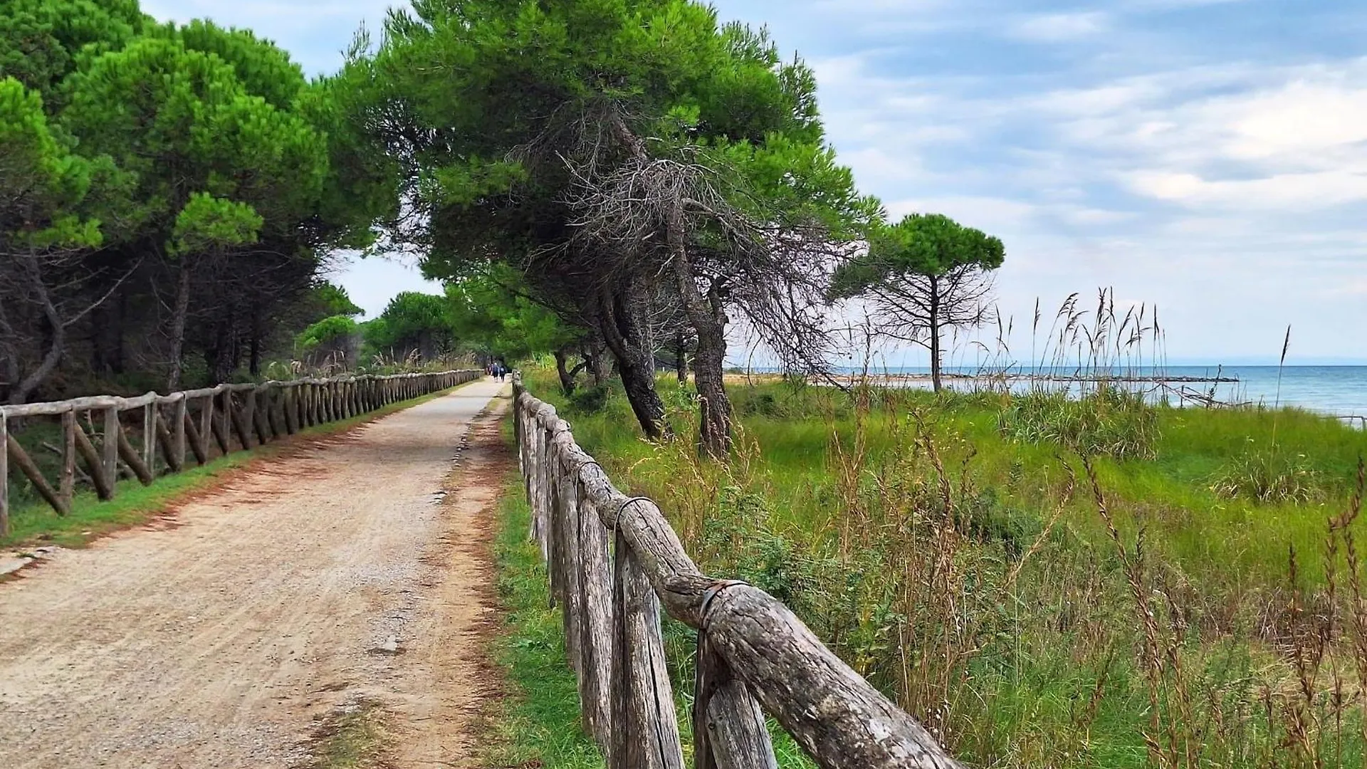 Wonderful Studio Apartment With Terrace Bibione